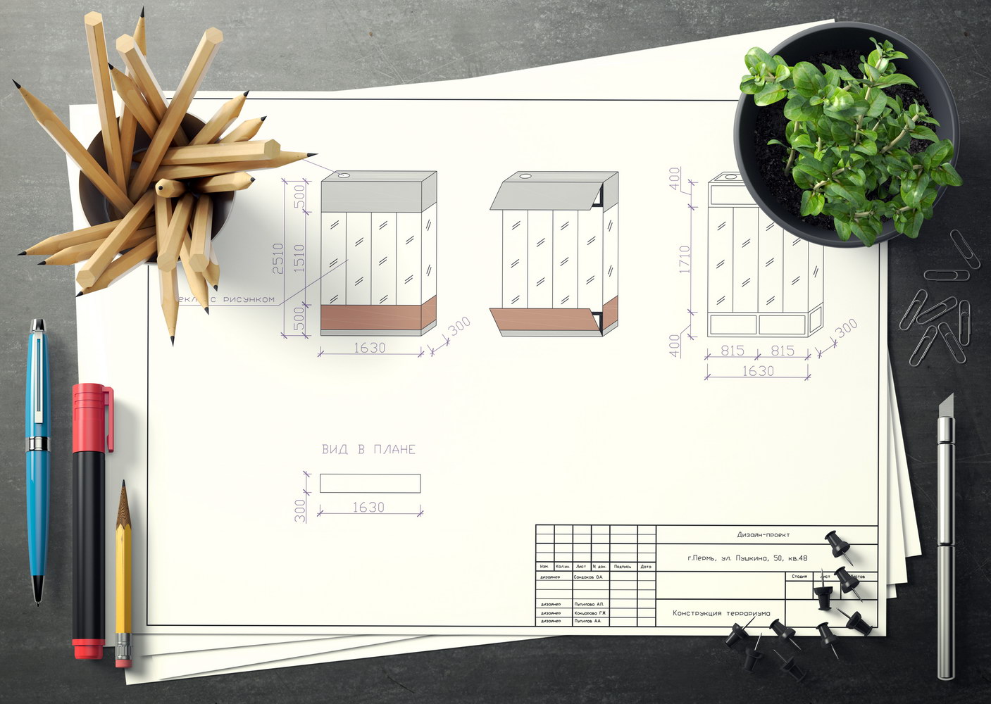 Design Proekt 019