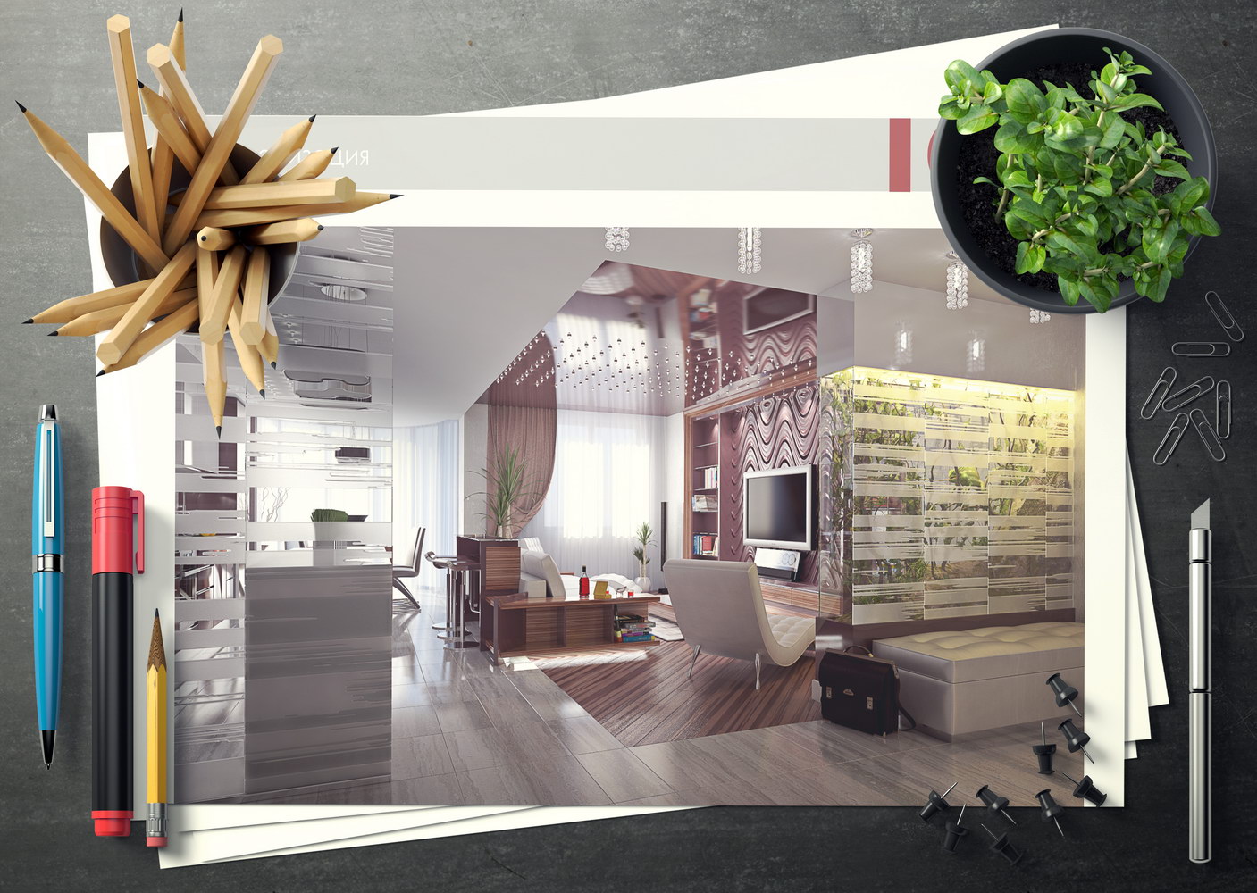 Design Proekt 041